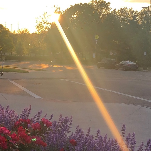 Meet your Posher, Loren - Picture 1 of 1